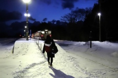 1001_06_04-tsugaru-min-maya