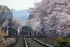 1001_10_09mooka-rail