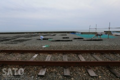 1003_05_1024×-4-AQ7T6112