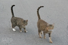 1003_07_1024×-6-AQ7T5551